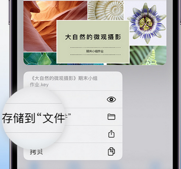 克孜勒苏柯尔克孜apple维修中心分享iPhone文件应用中存储和找到下载文件