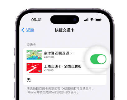 克孜勒苏柯尔克孜apple维修点分享iPhone上更换Apple Pay快捷交通卡手绘卡面 