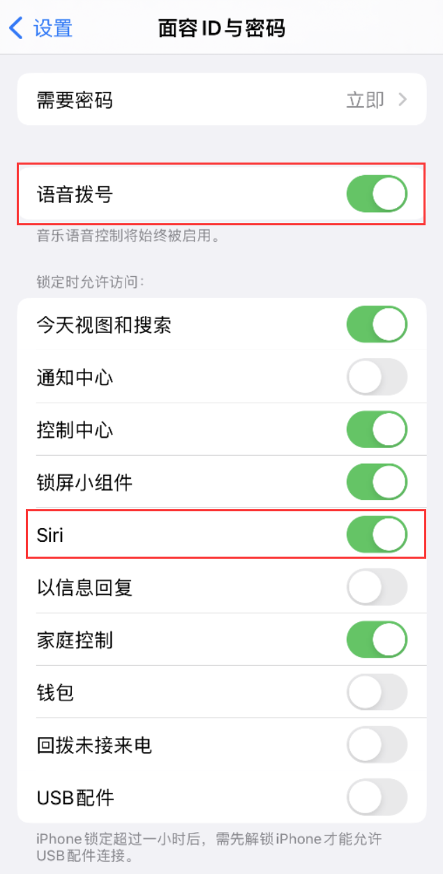 克孜勒苏柯尔克孜苹果维修网点分享不解锁 iPhone 的情况下通过 Siri 拨打电话的方法 