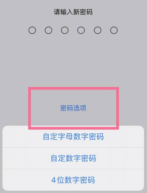 克孜勒苏柯尔克孜苹果14维修分享iPhone 14plus设置密码的方法 