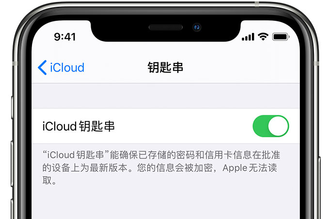 克孜勒苏柯尔克孜苹果手机维修分享在 iPhone 上开启 iCloud 钥匙串之后会储存哪些信息 