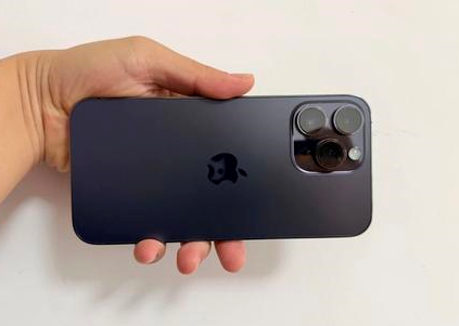 克孜勒苏柯尔克孜苹果维修点分享iPhone 14 Pro Max黑屏少见故障盘点 